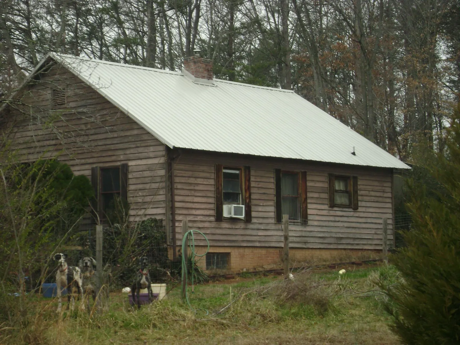 White metal roof on an old wood sided farmhouse, from a Metal Roof Installation job in Tarpon Springs